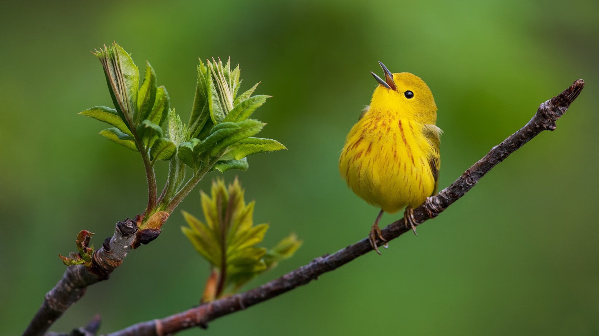 高校运动康复训练技术及应用分析,全国高校运动康复比赛