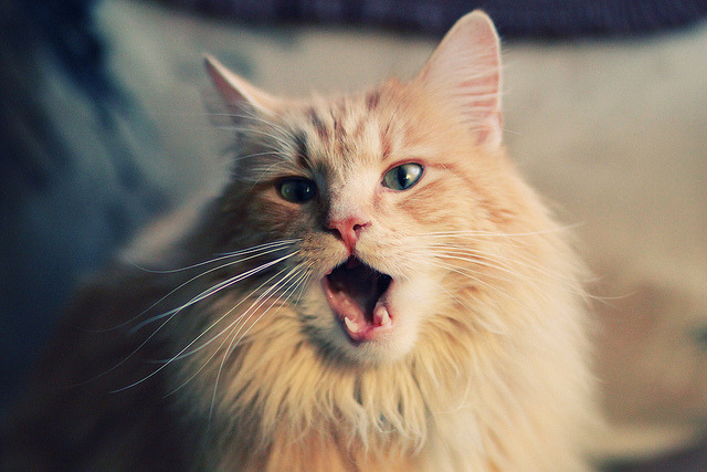 “天府新区沙滩合球赛:突破传统的全新竞技体验”