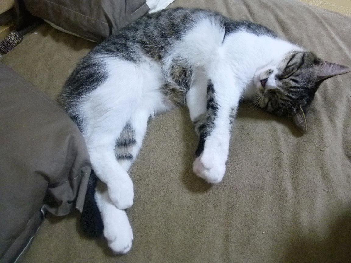 世界杯预选赛中国女足战胜 球员配合默契,女足世界杯预选赛中国队