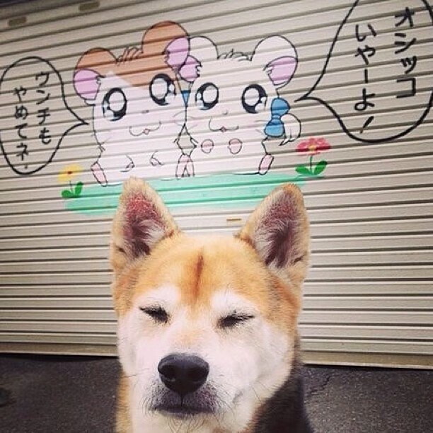 -尼尔·巴特尔的防守能力帮助袋鼠队多次守住胜果，巴特尔防守奥尼尔