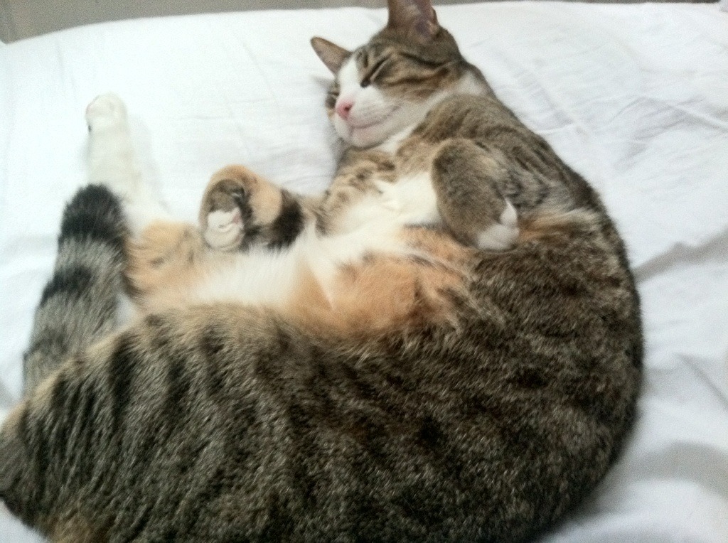 巴雷特:全黑队的“战术核心”,用智慧引领进攻潮流